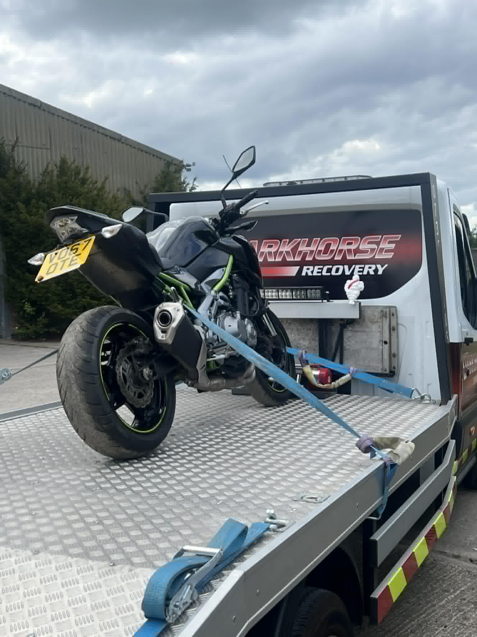 Darkhorse Recovery gallery image 2